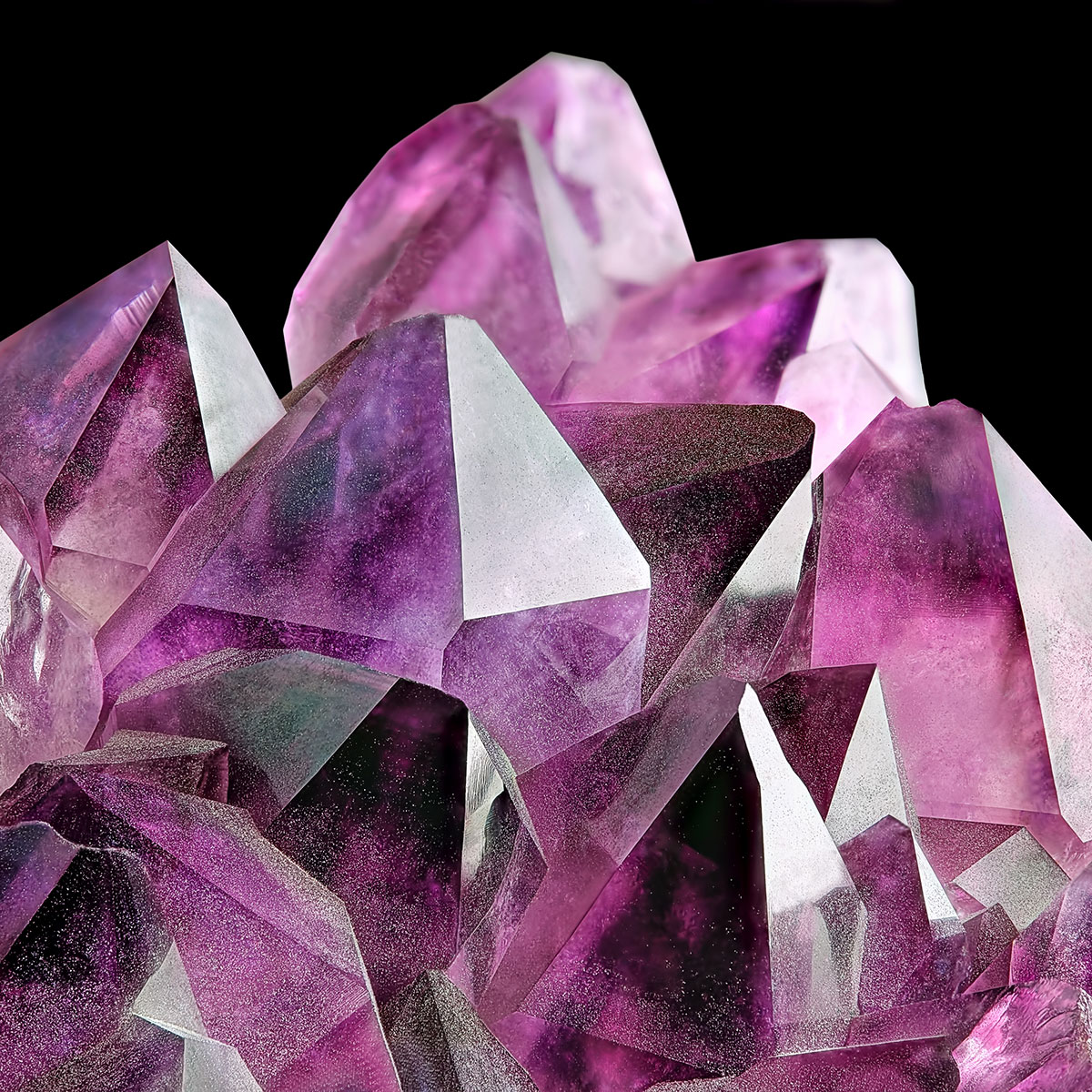 Walk the Path Speak your truth - Amethyst elixir