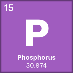 Phosphorus (Standard)