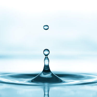 shutterstock_285690173-Kidney-400 Tune-Up! Kidney