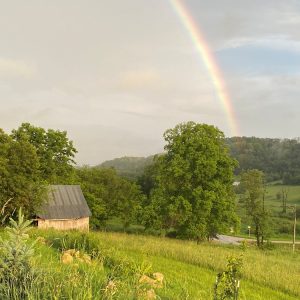 Rainbow-1000px Rainbow