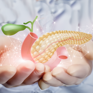 shutterstock_1464743105-Pancreas-540 Pancreas matrix